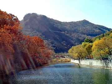 新澳天天开奖资料大全旅游团，景逸x5论坛